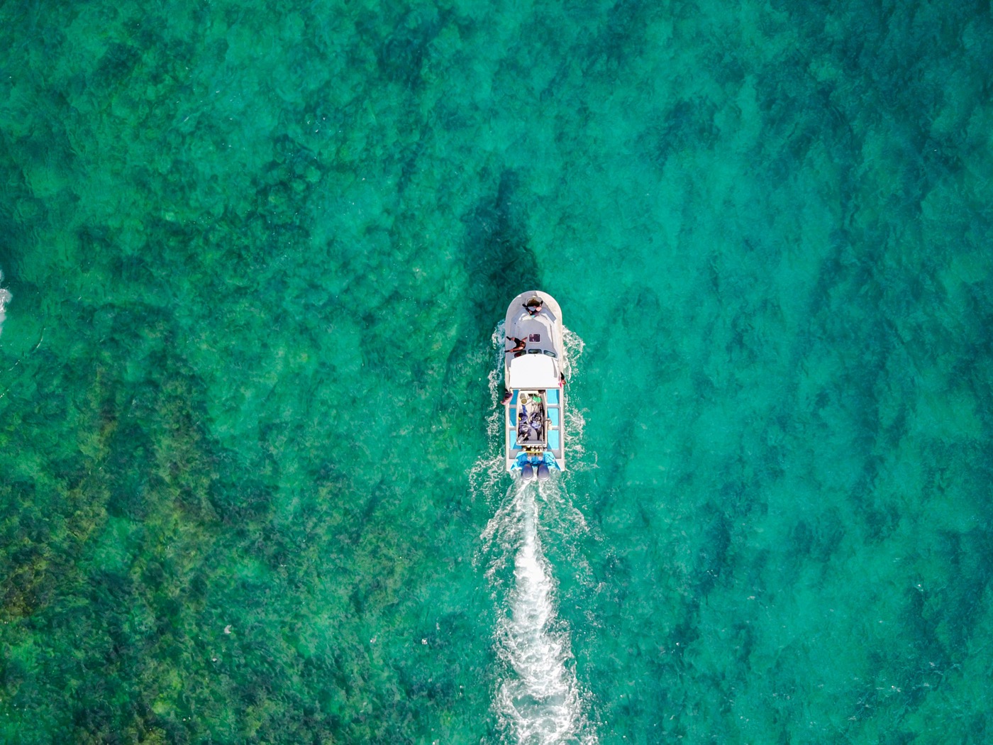 夏の旅